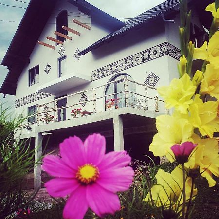 Casa Aureliana Ciocanesti Exterior foto