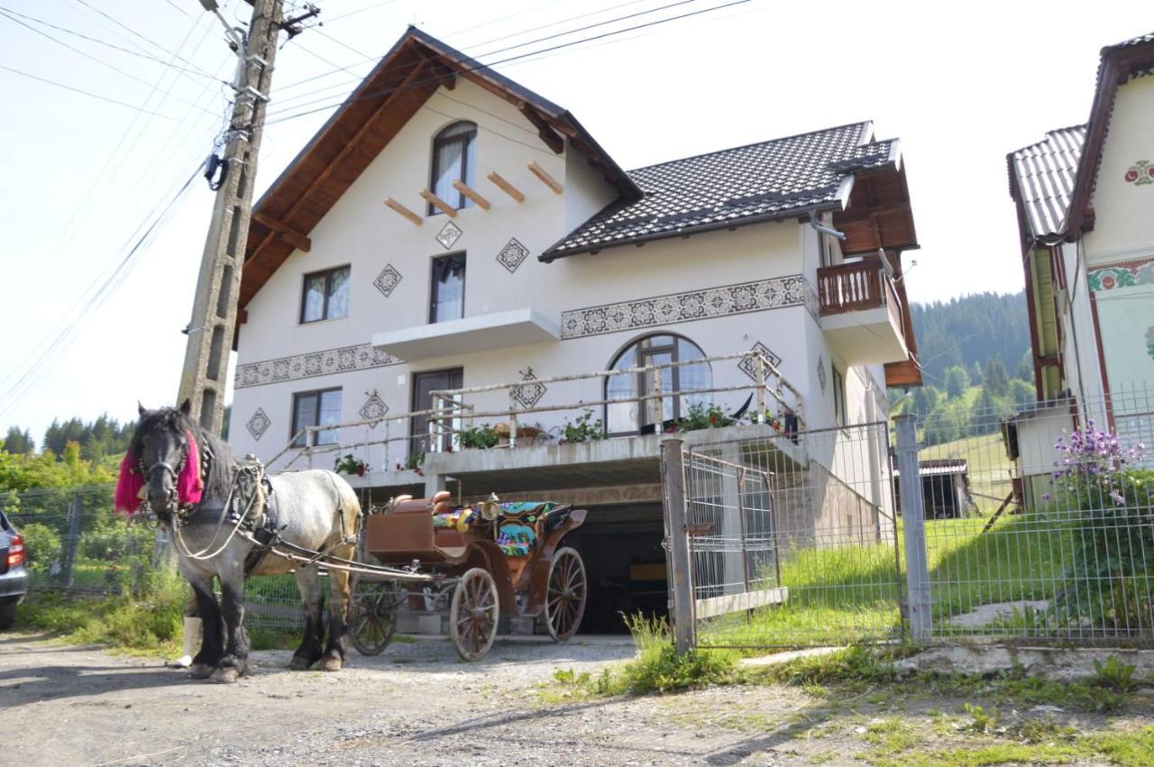 Casa Aureliana Ciocanesti Exterior foto