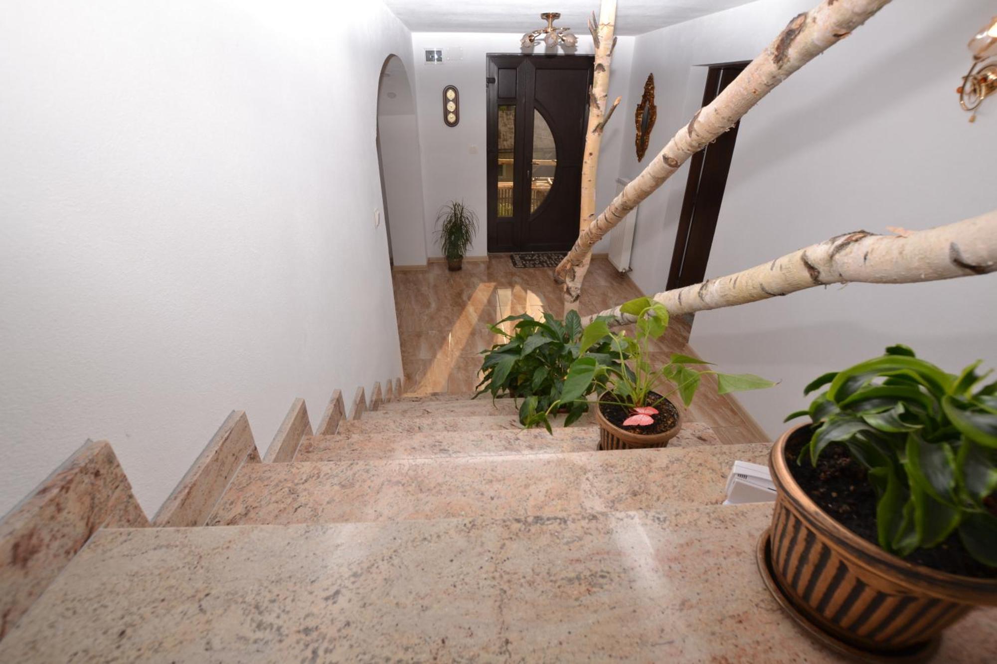 Casa Aureliana Ciocanesti Exterior foto